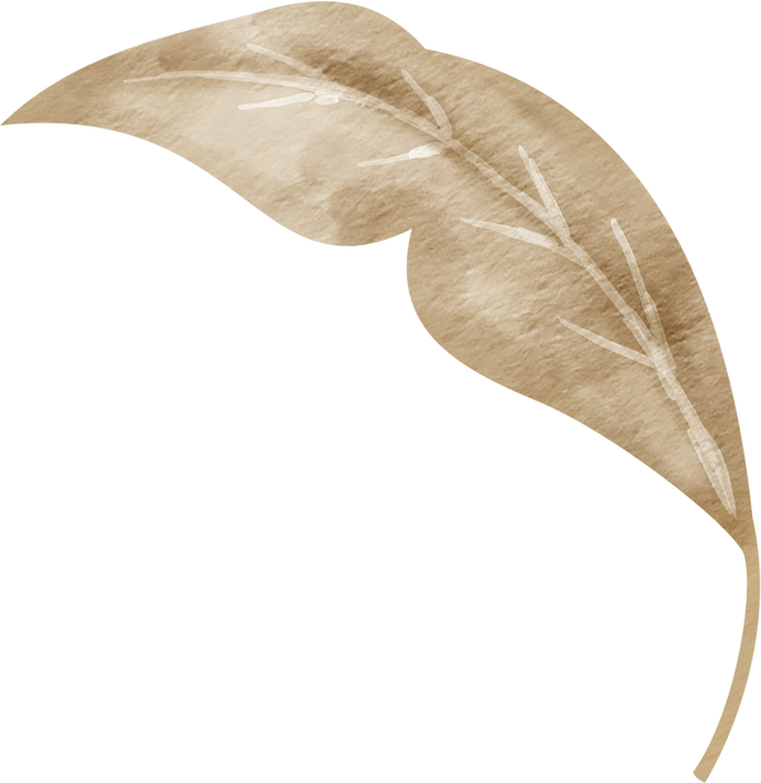 Vintage Brown Leaf Watercolour Perfect for Wedding Card Design
