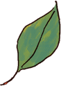 Painterly Green Leaf 